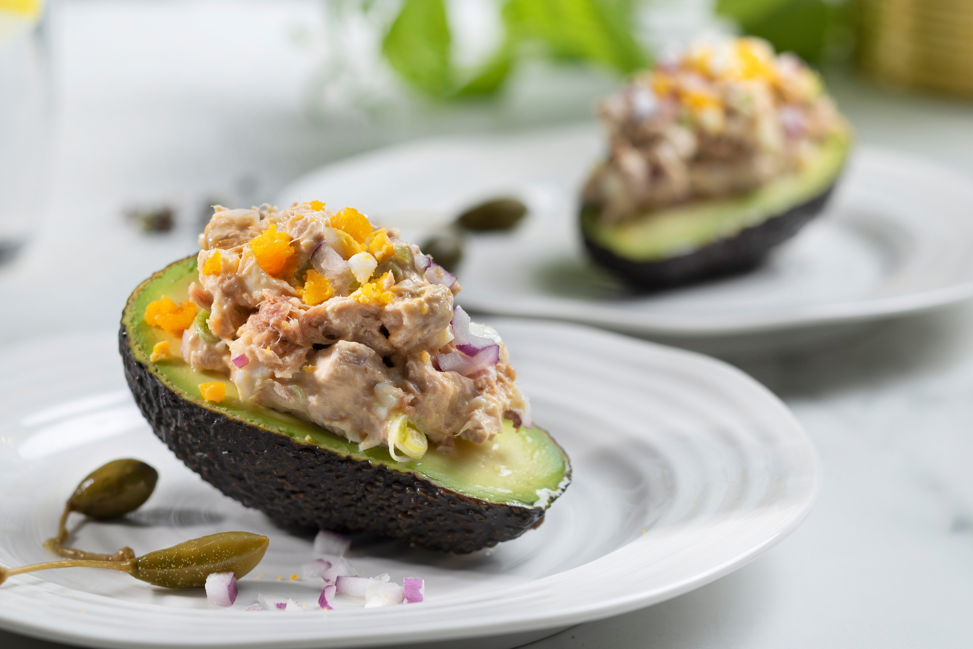 Lavkarbo avokado med tunfisksalat