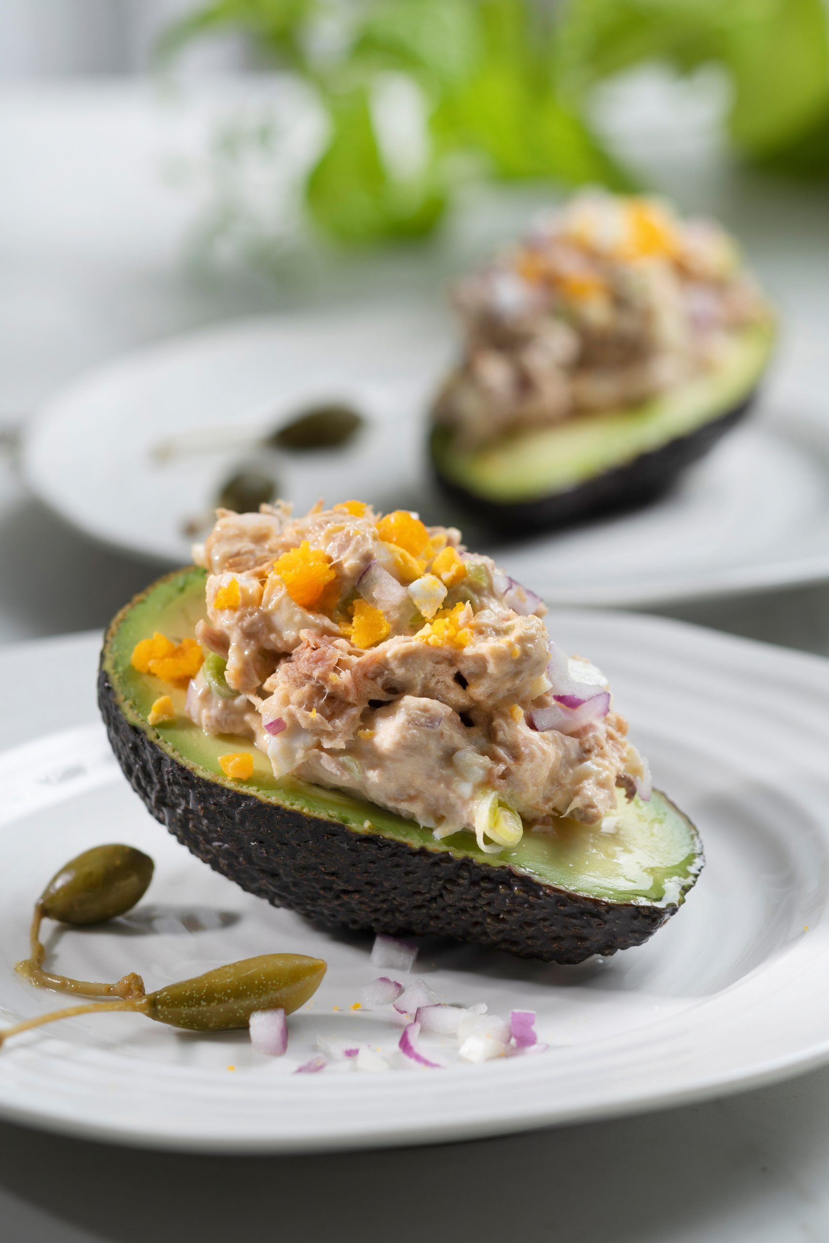 Lavkarbo avokado med tunfisksalat